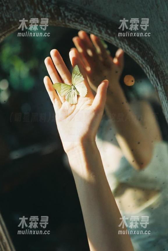 想看明星黑料？这款App是不二选择！